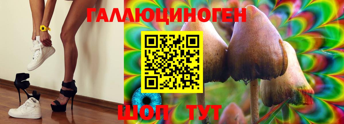 Галлюциногенные грибы MAGIC MUSHROOMS Нижнекамск